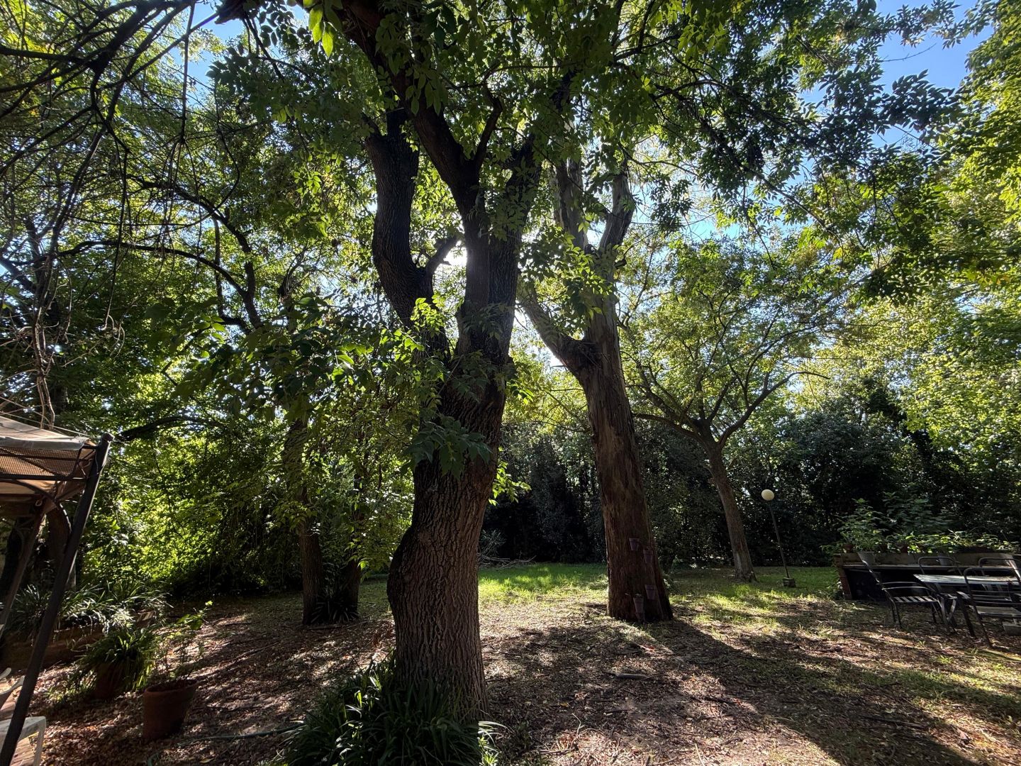 Lote EN VENTA