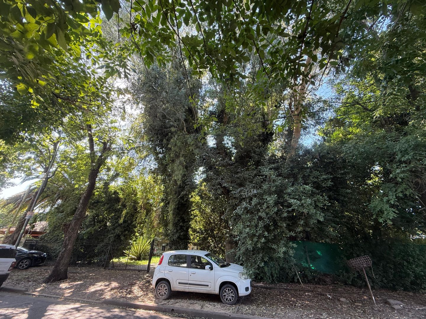 Lote EN VENTA