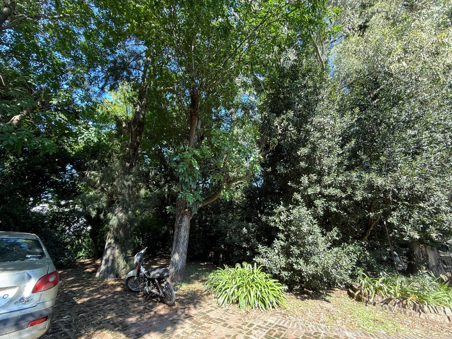 Lote EN VENTA