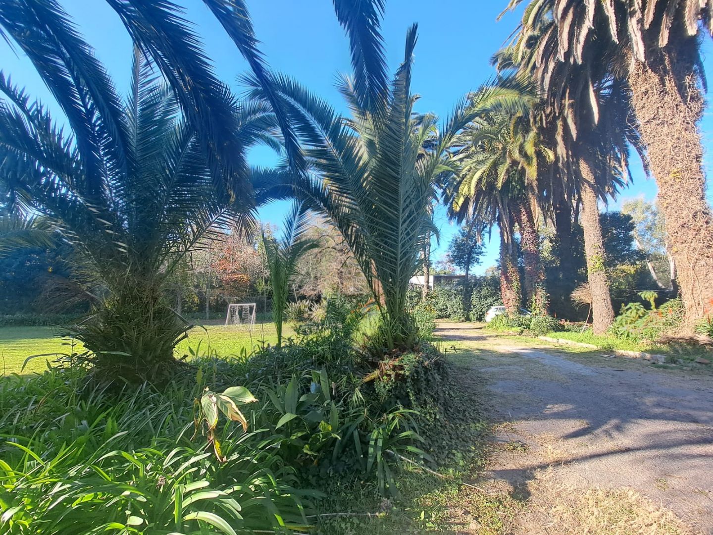 Lote EN VENTA