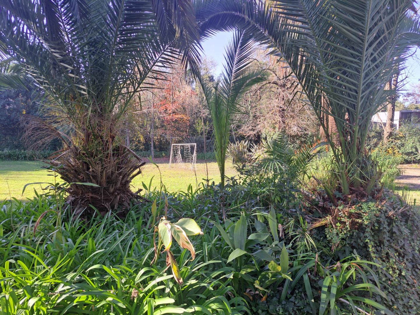 Lote EN VENTA