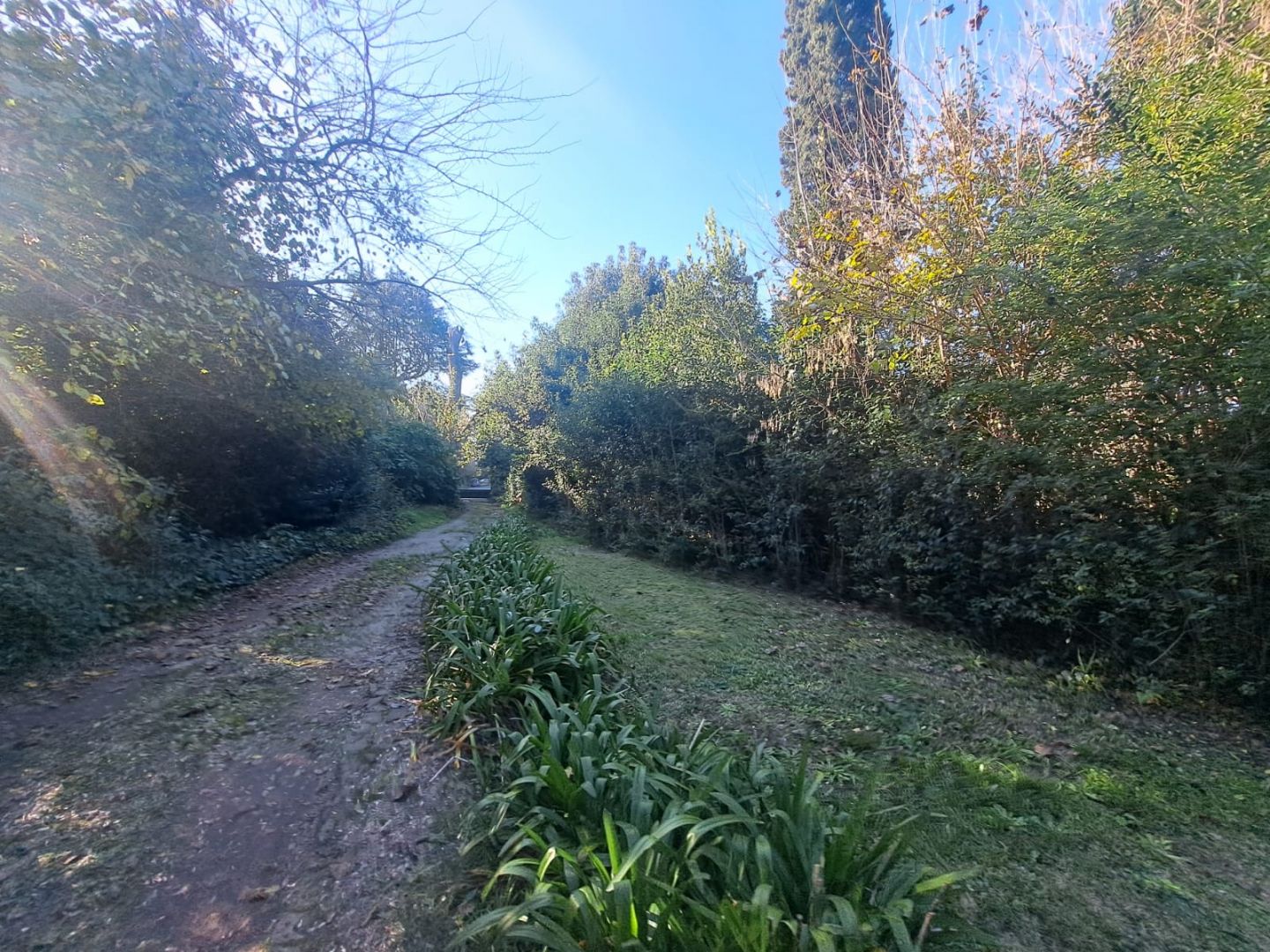 Lote EN VENTA