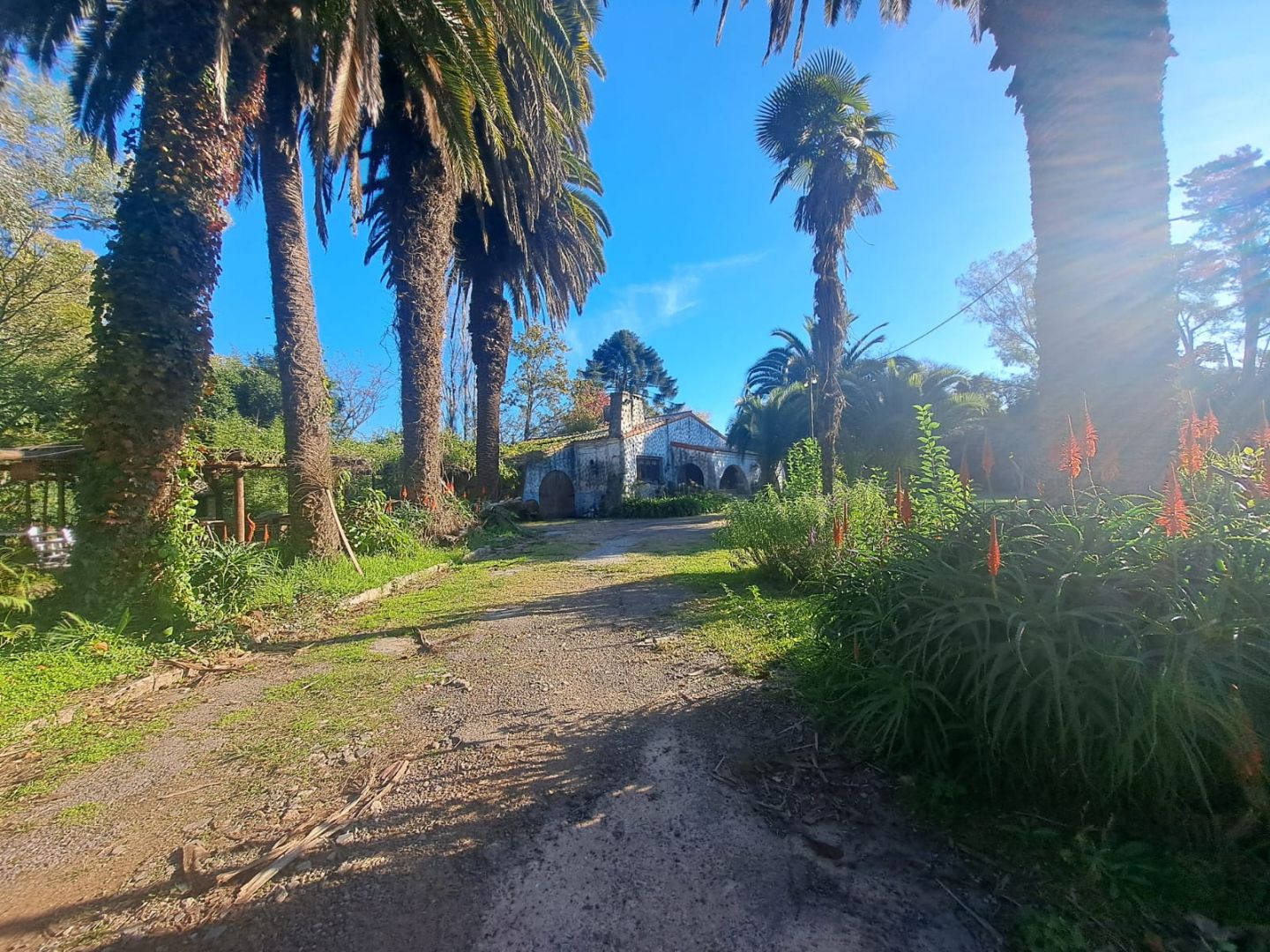 Lote EN VENTA