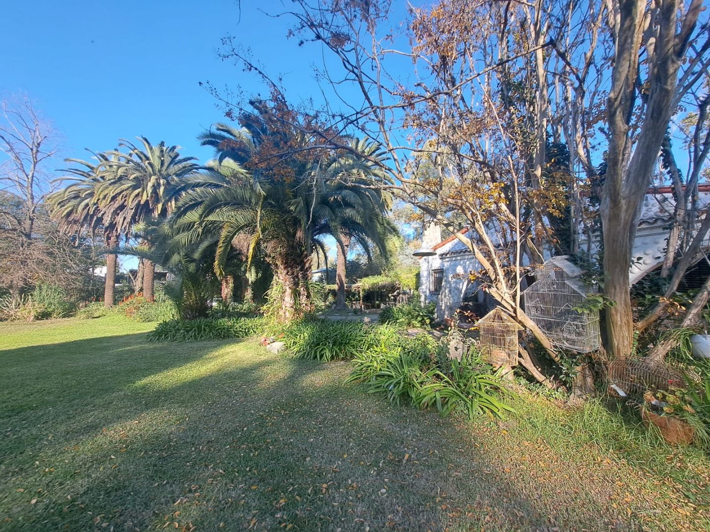 Lote EN VENTA