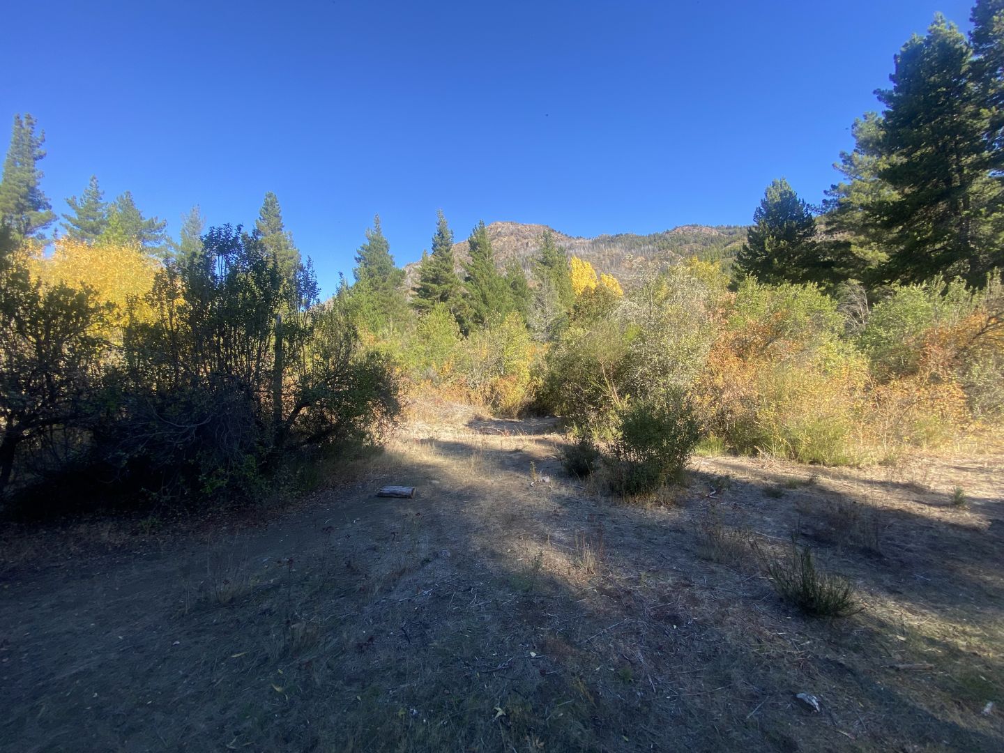 Campo EN VENTA