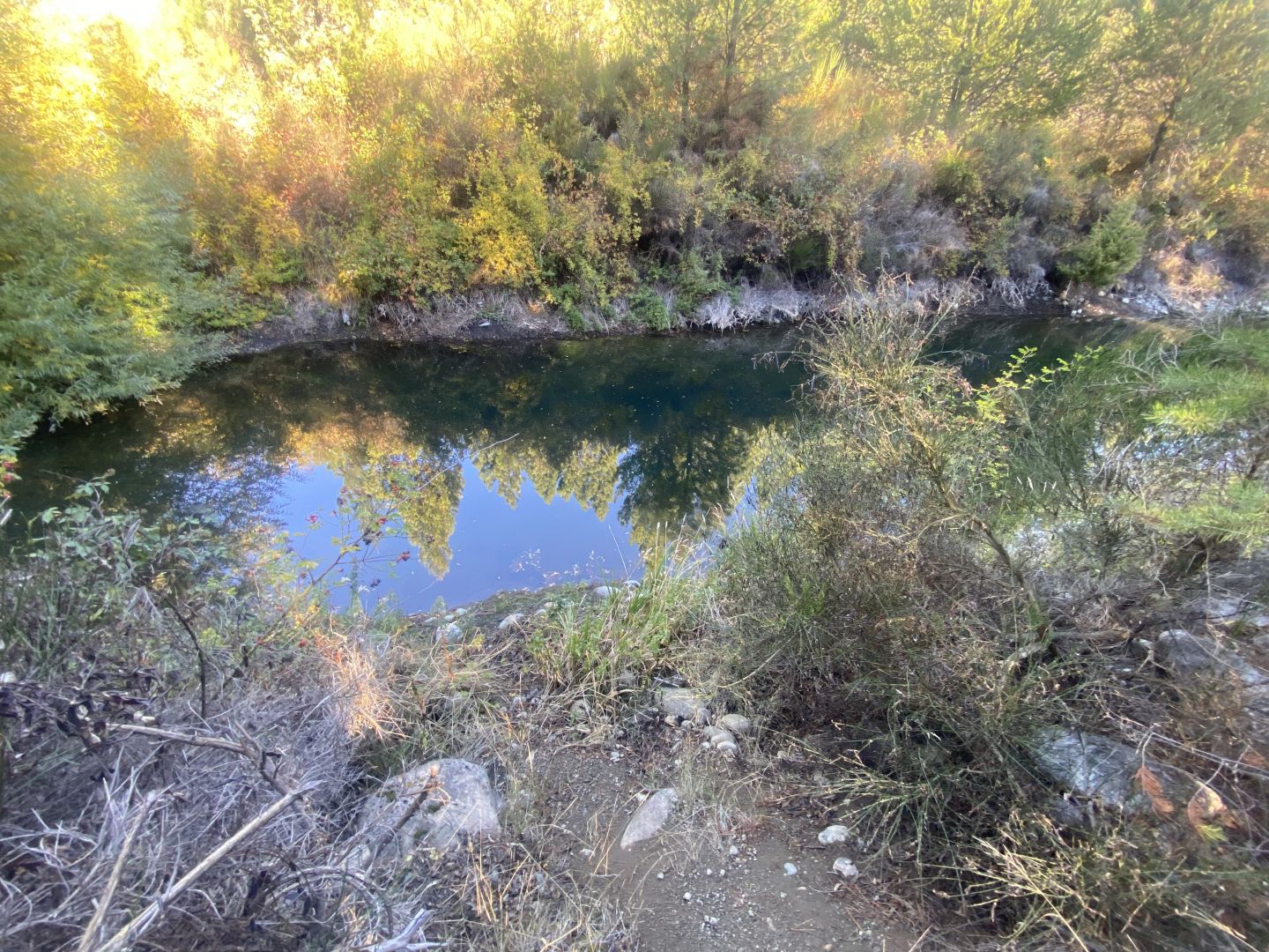 Campo EN VENTA
