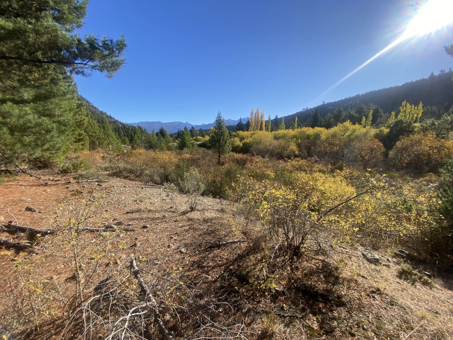 Campo EN VENTA