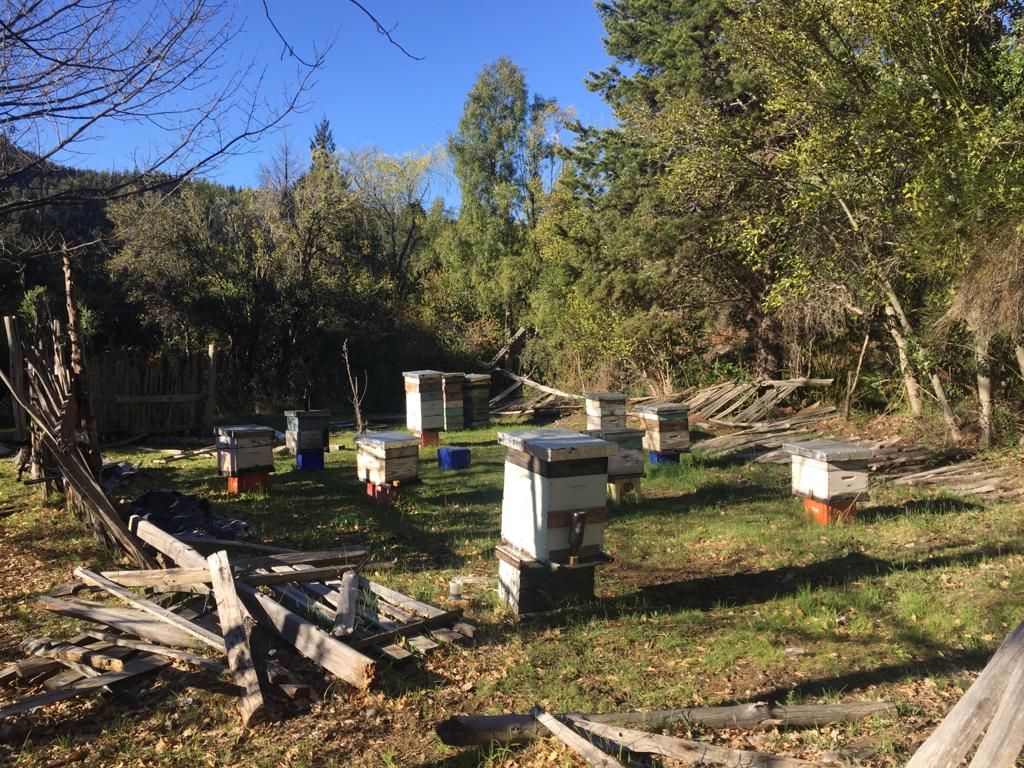 Campo EN VENTA