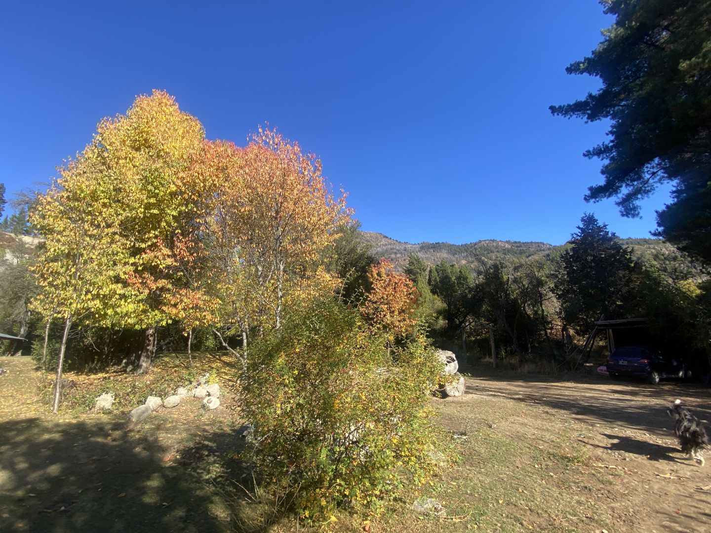 Campo EN VENTA
