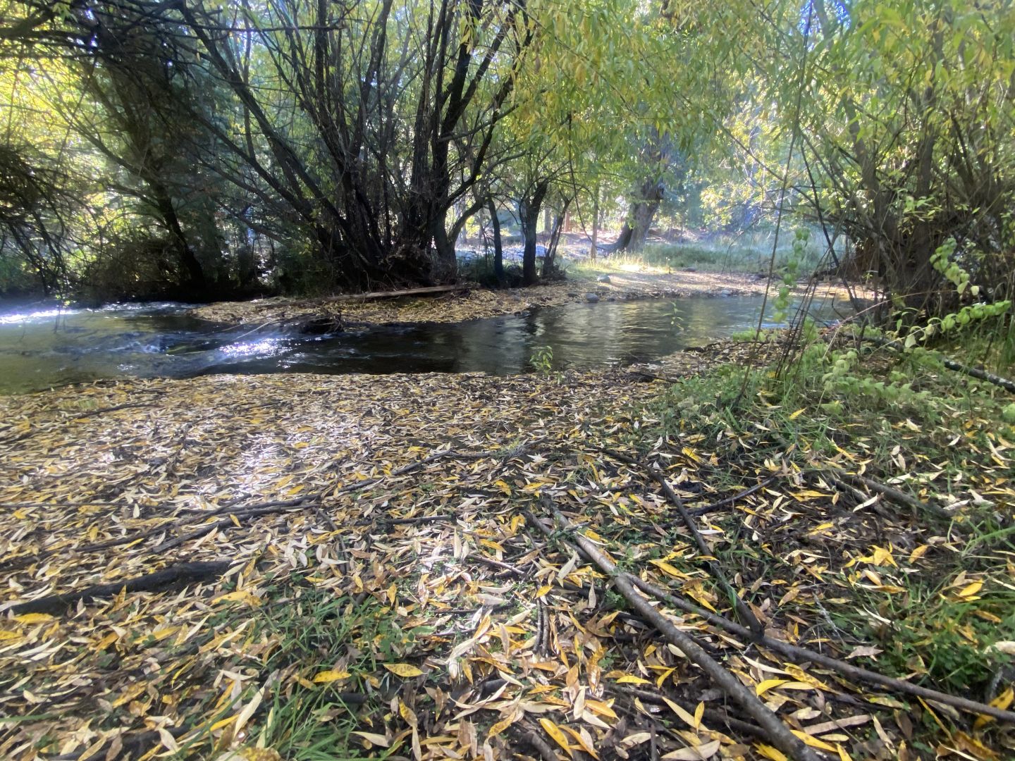 Campo EN VENTA