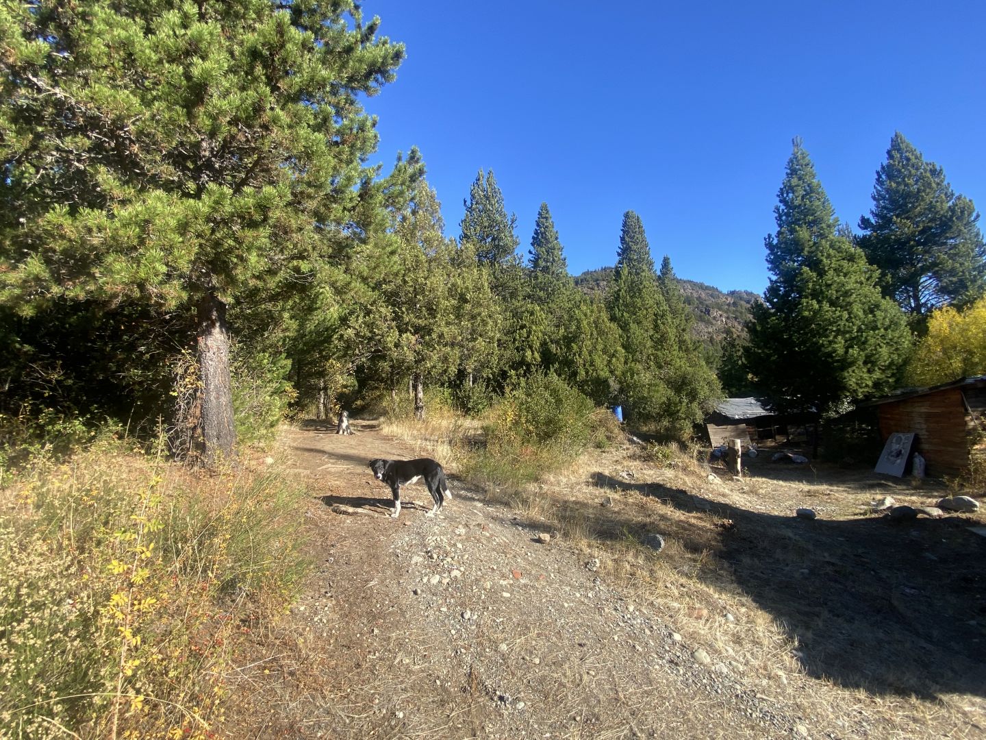 Campo EN VENTA