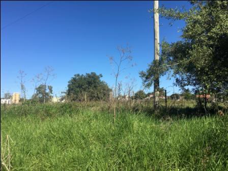 Lote EN VENTA