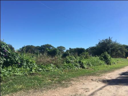 Lote EN VENTA