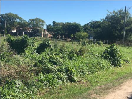 Lote EN VENTA