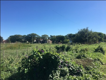 Lote EN VENTA