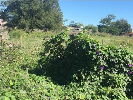 Lote EN VENTA