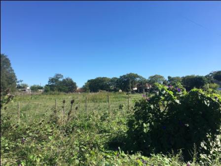 Lote EN VENTA