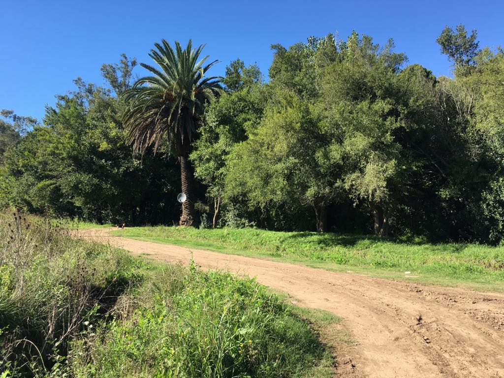 Lote EN VENTA