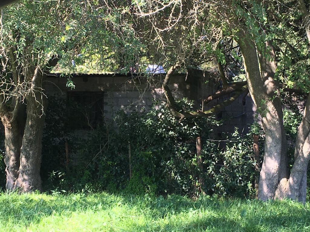 Lote EN VENTA