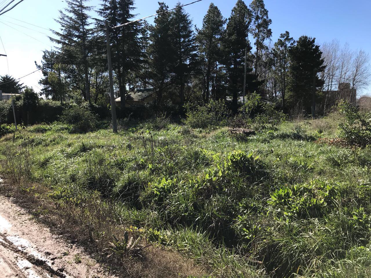 Lote EN VENTA