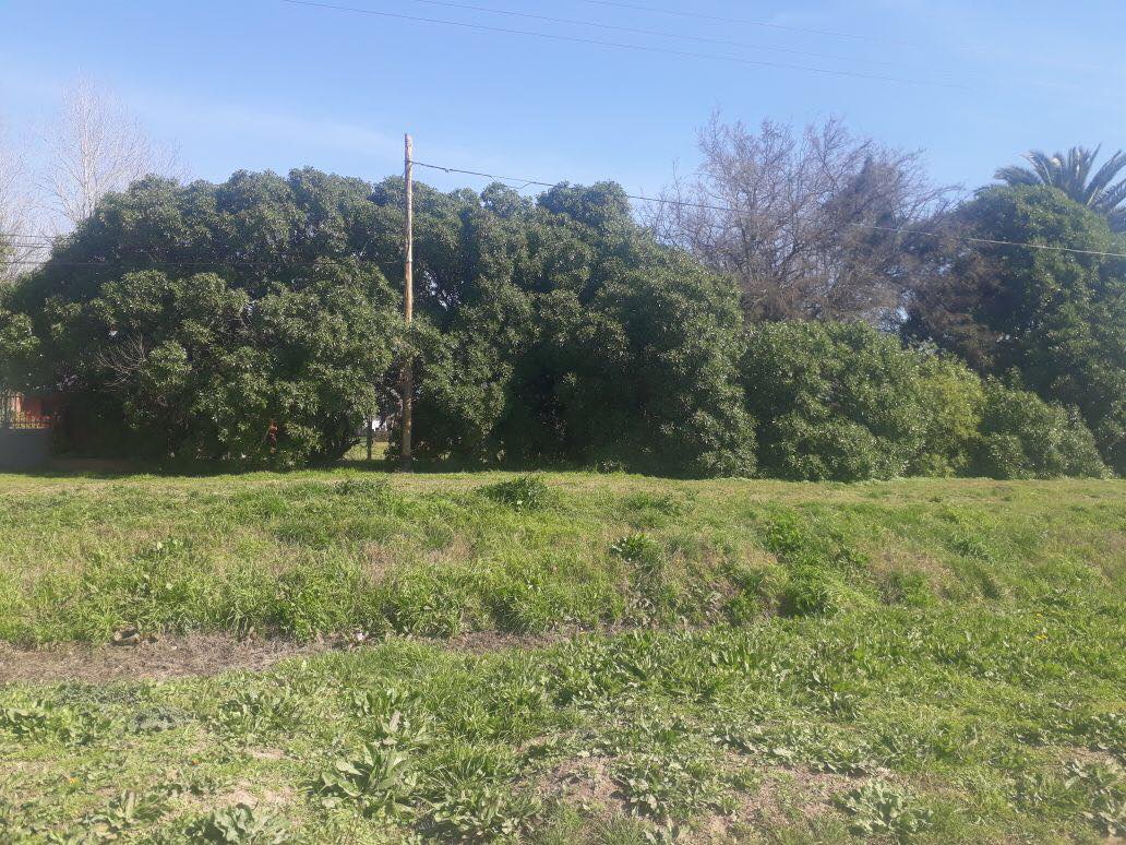 Lote EN VENTA