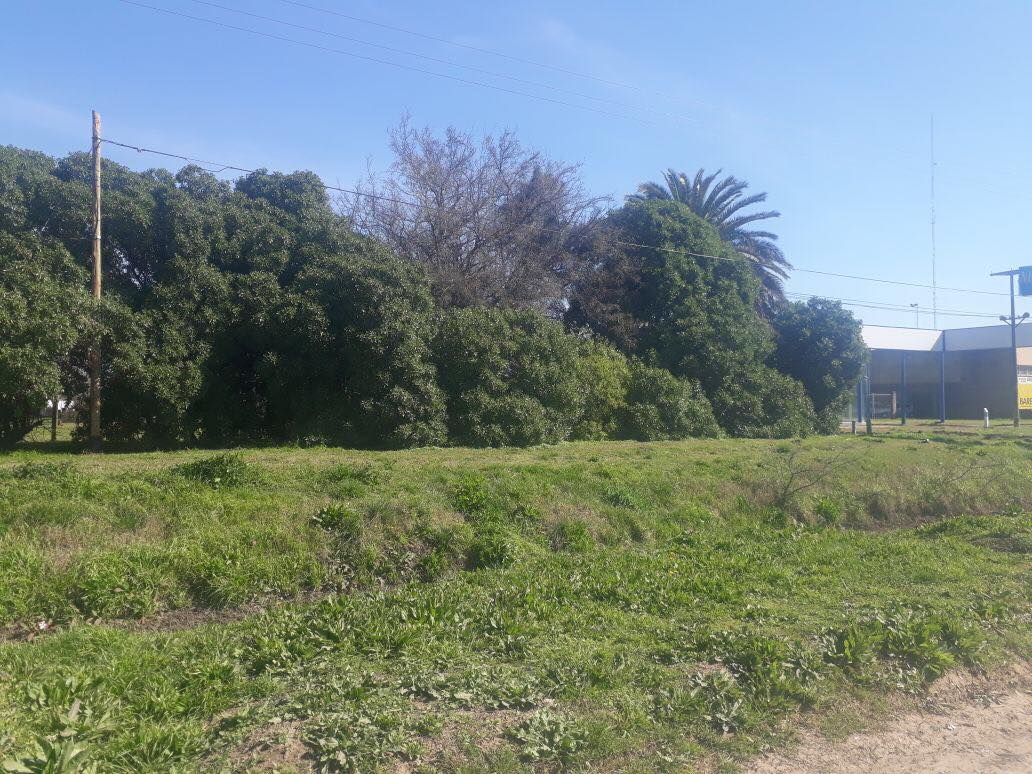 Lote EN VENTA