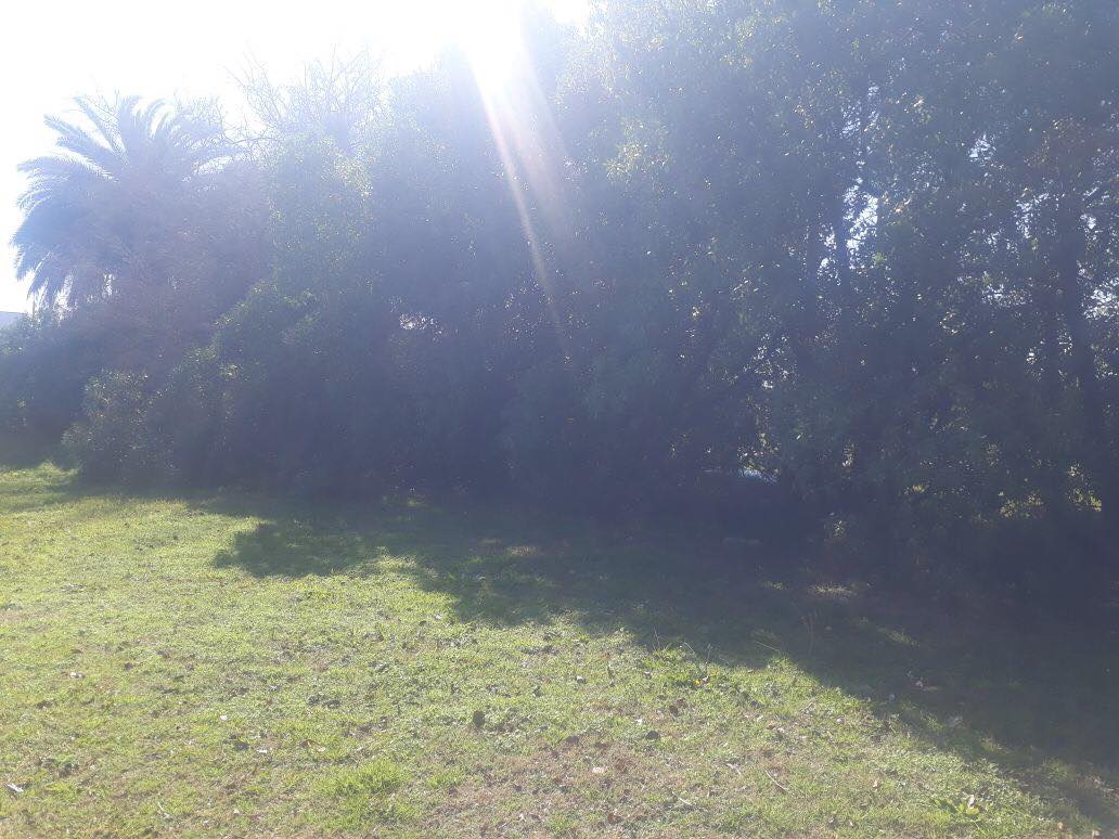 Lote EN VENTA