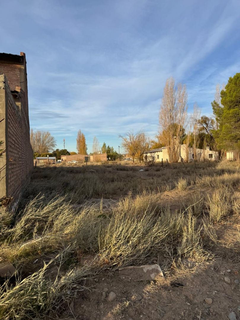 VENTA DE LOTE EN Senillosa - 2