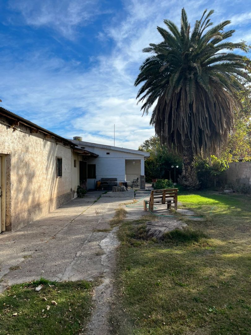 VENTA DE LOTE EN Centenario - CASCO VIEJO - 3