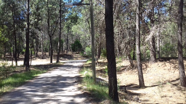 Lote EN VENTA