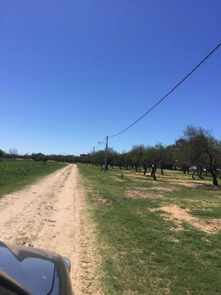 Lote EN VENTA