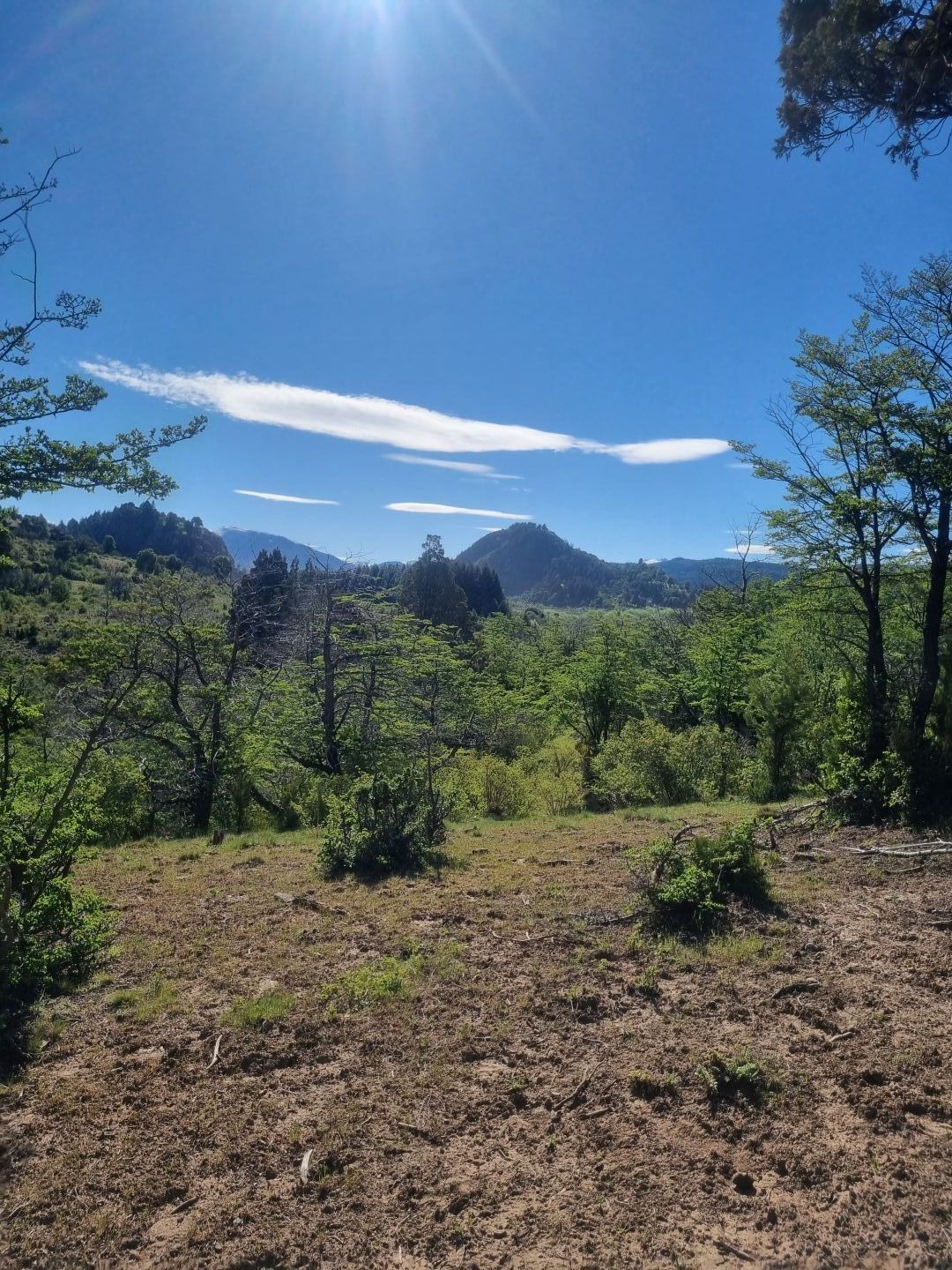 Lote EN VENTA
