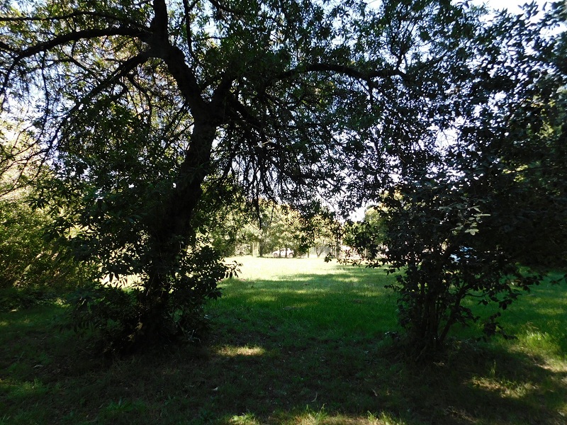 Lote EN VENTA