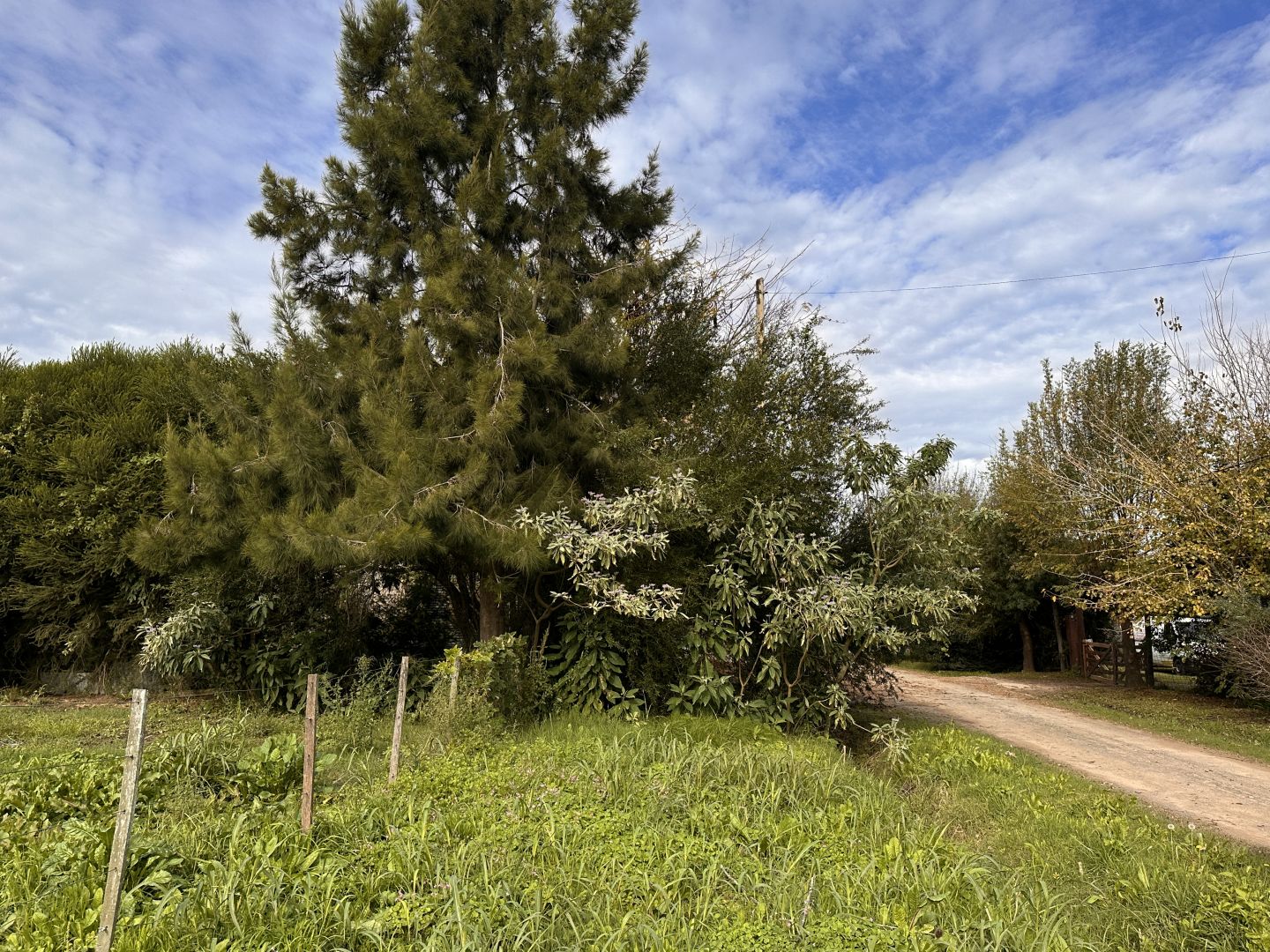 Lote EN VENTA