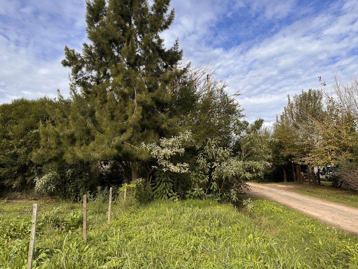Lote EN VENTA