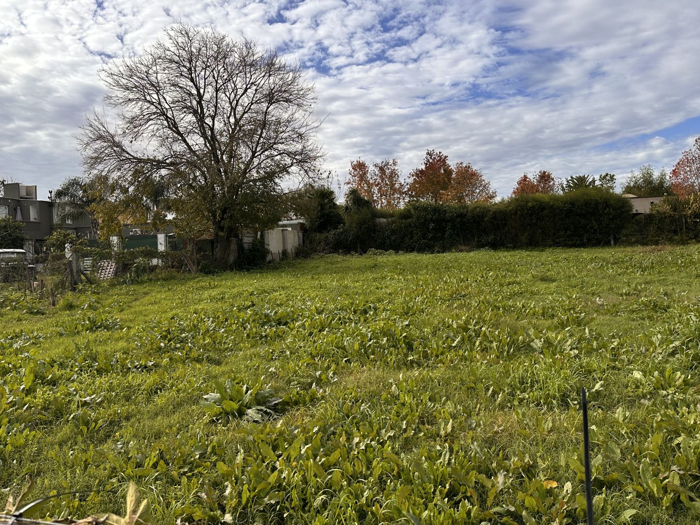 Lote EN VENTA