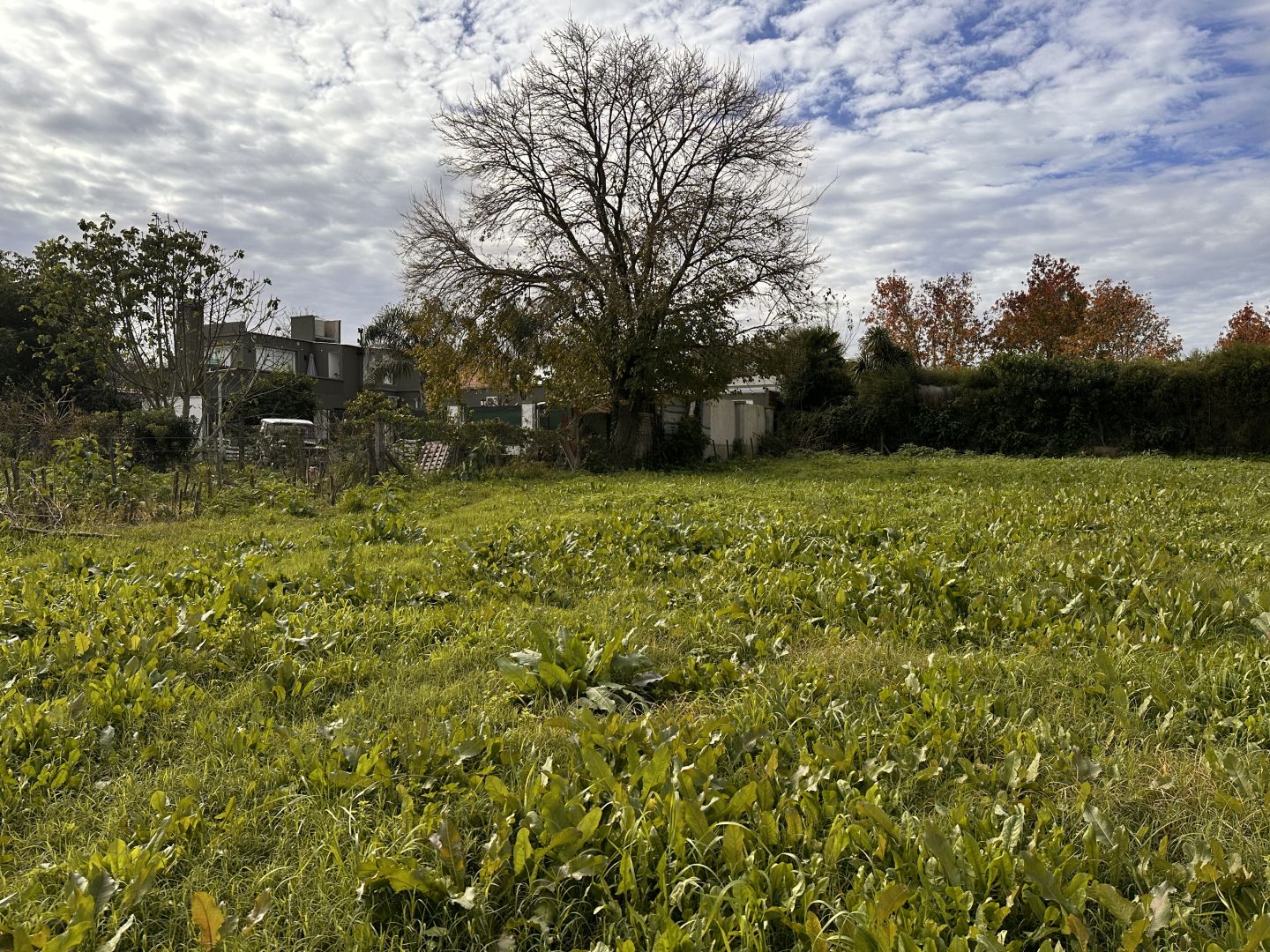 Lote EN VENTA