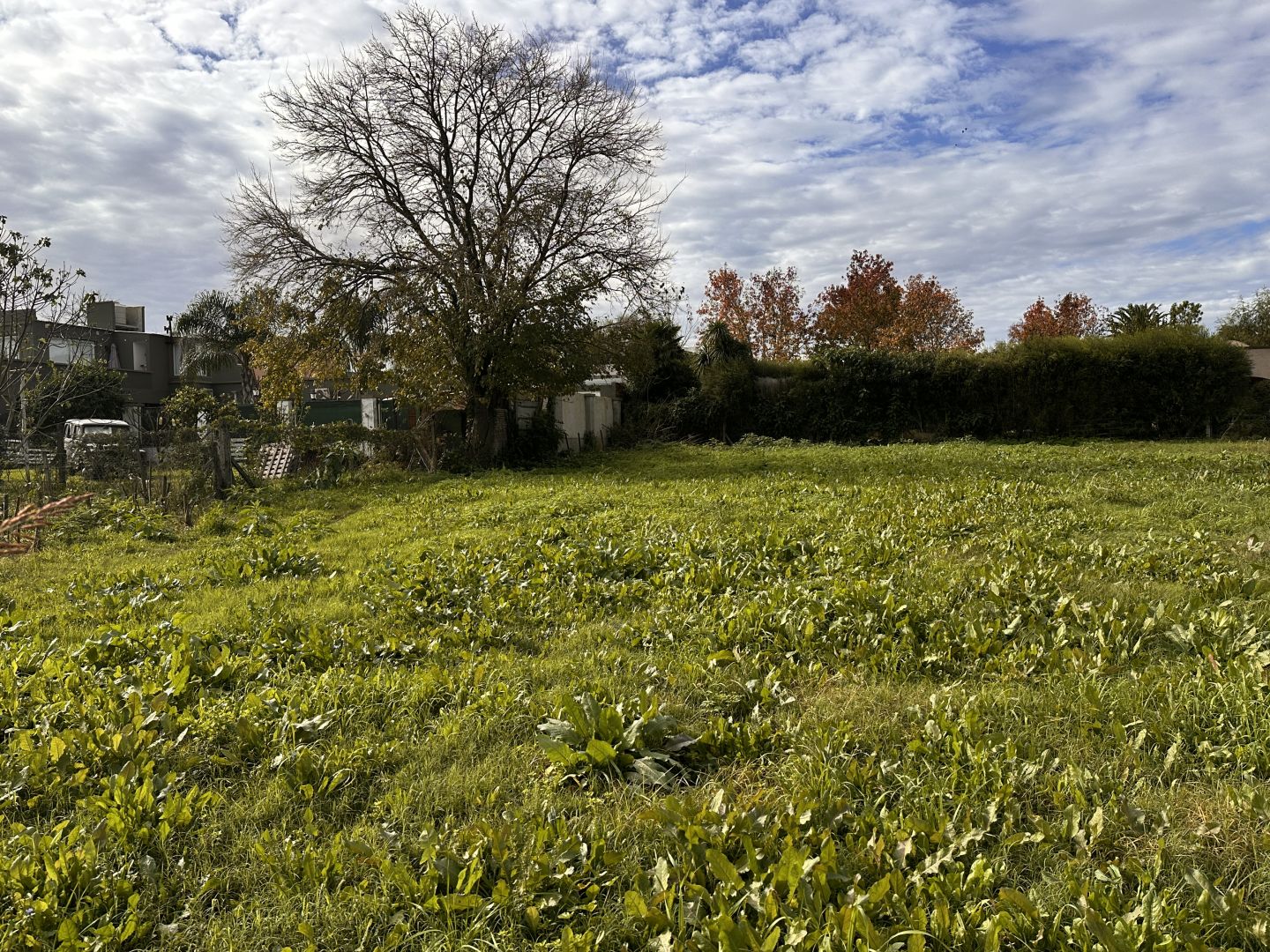 Lote EN VENTA