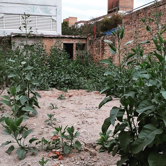 Lote EN VENTA