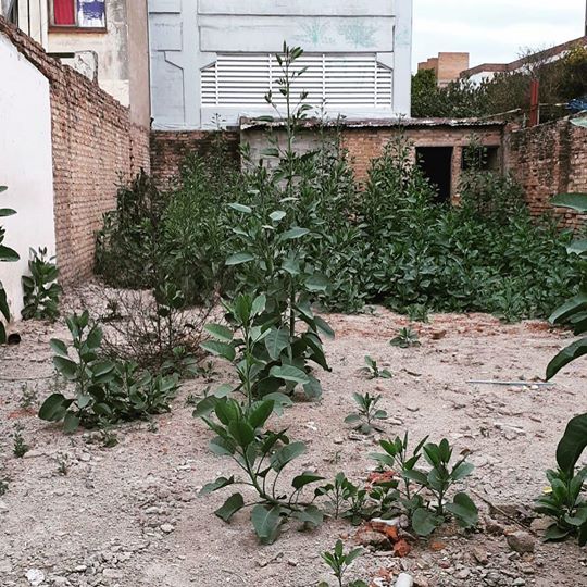Lote EN VENTA