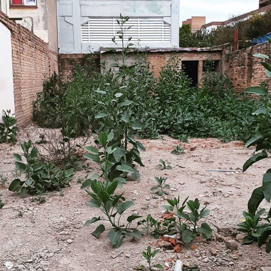 Lote EN VENTA