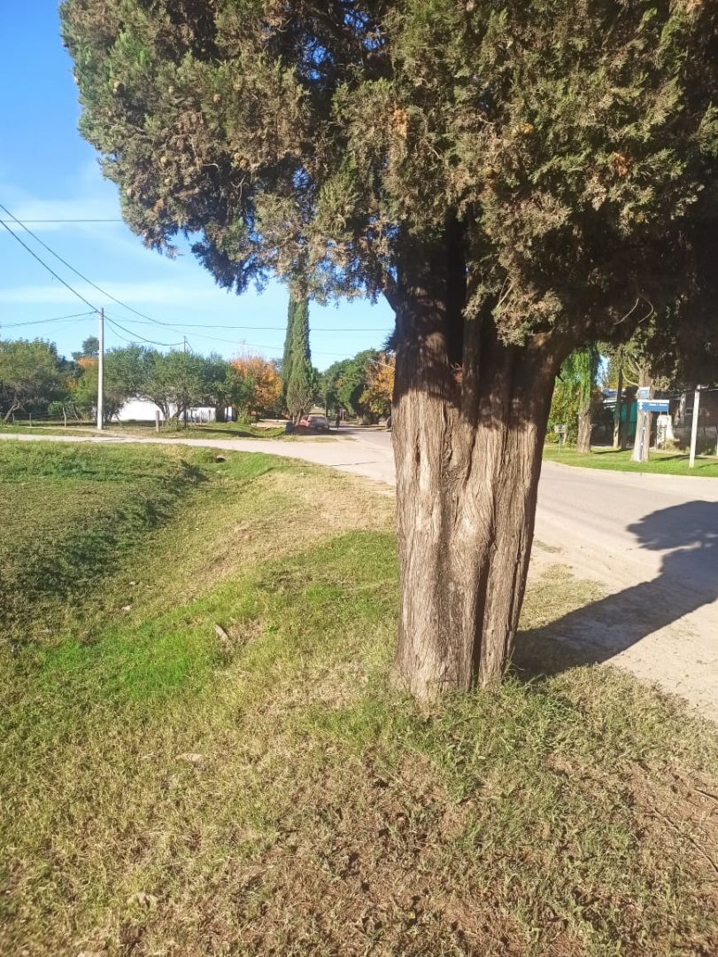Lote EN VENTA