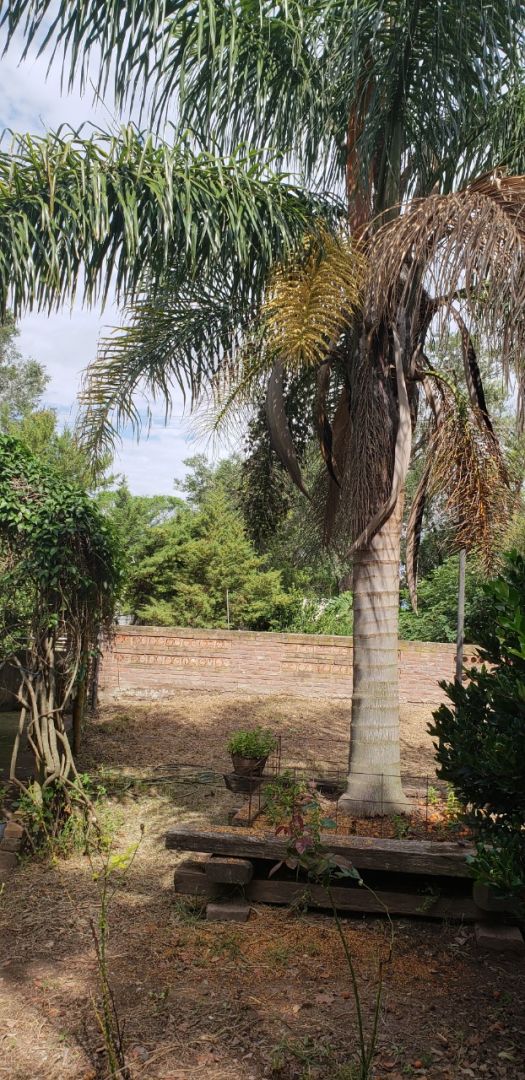 Campo EN VENTA