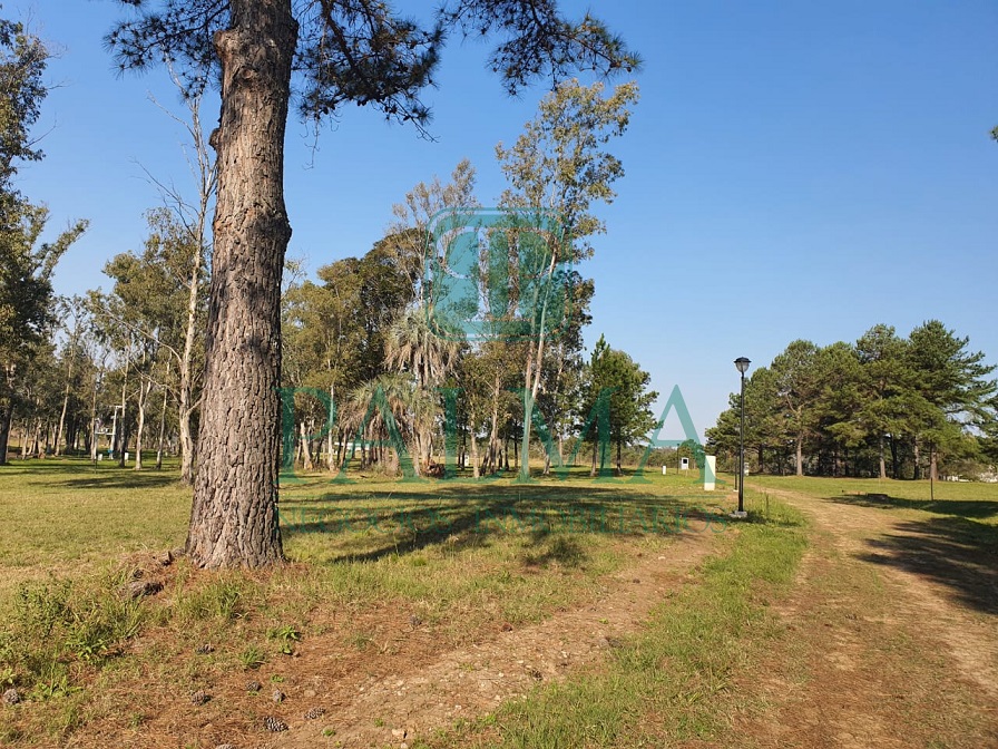 Lote EN VENTA