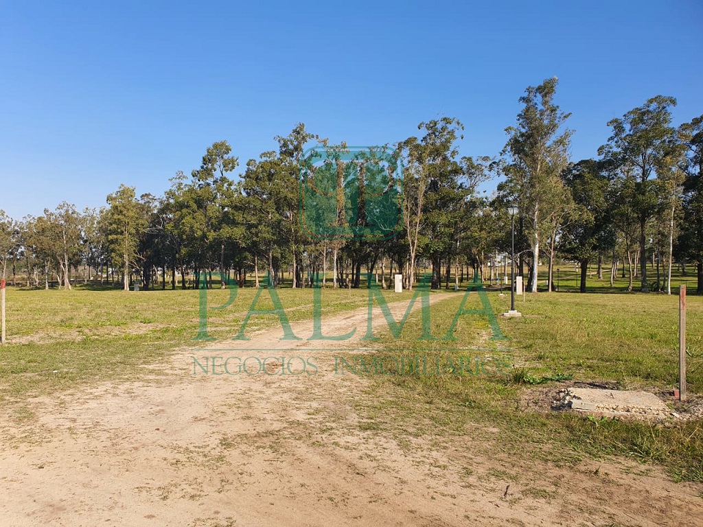 Lote EN VENTA