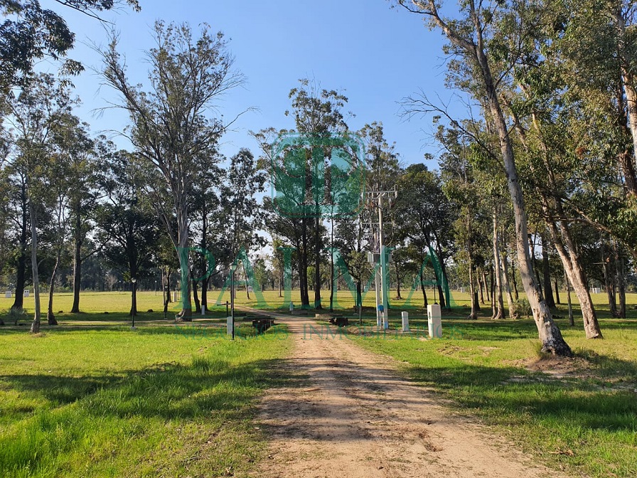 Lote EN VENTA