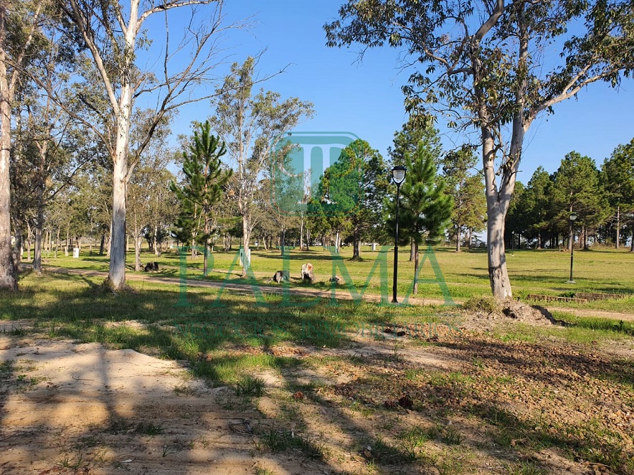 Lote EN VENTA
