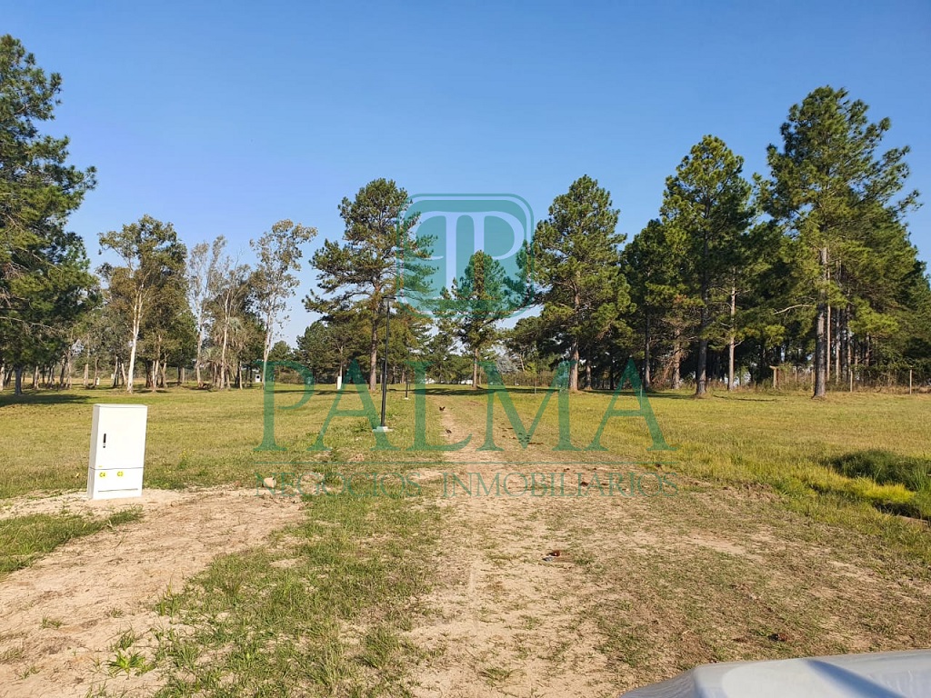 Lote EN VENTA