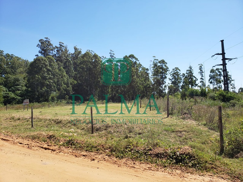 Lote EN VENTA