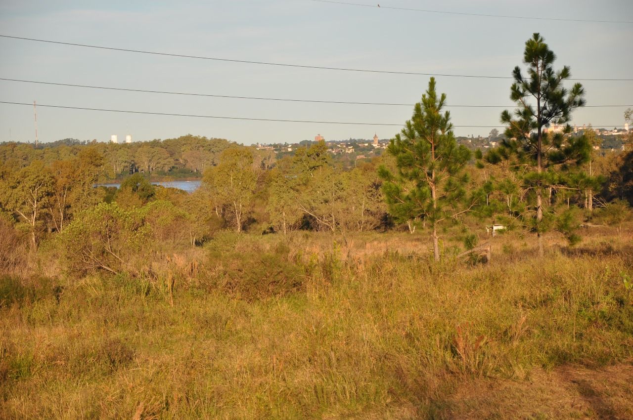 Lote EN VENTA